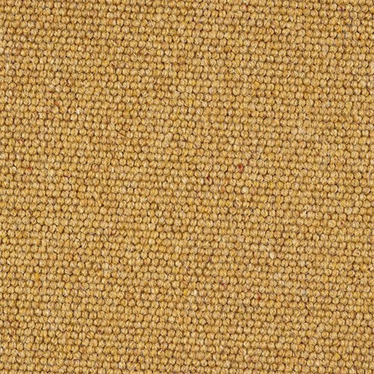 Charter Berber Loop Mustard