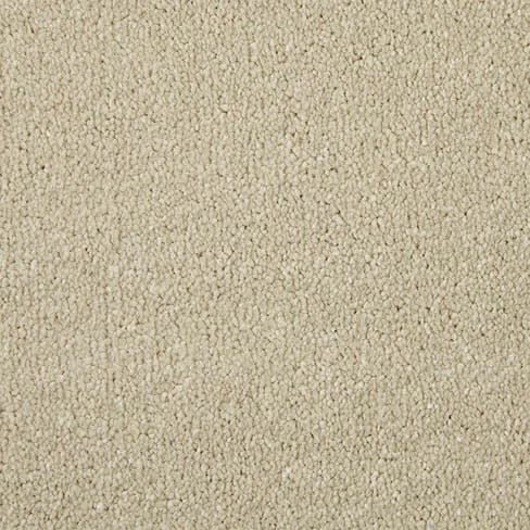 Pale Angora