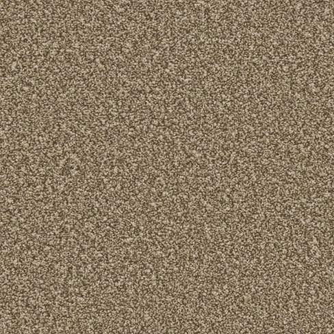 Cork Oak