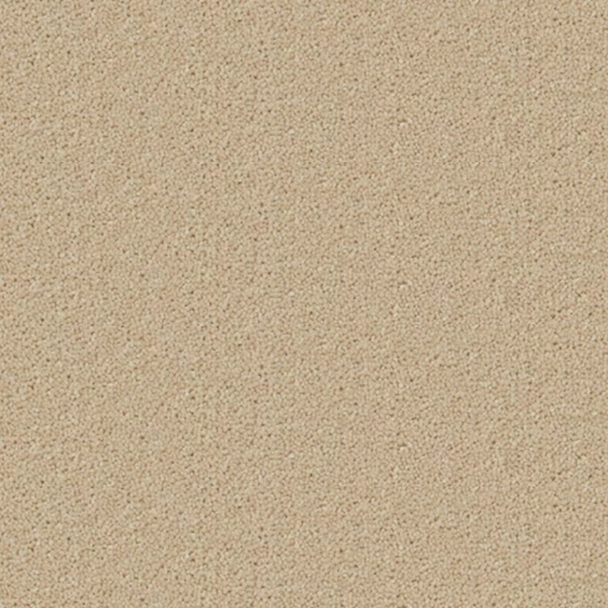 Fossilwebp