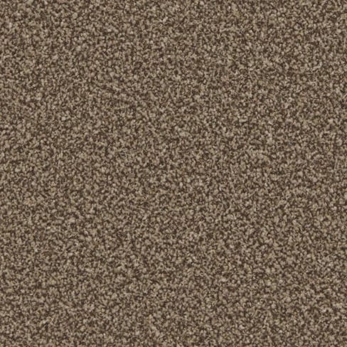 Mocha
