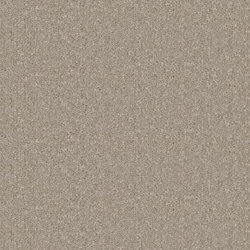 Arctic Grey