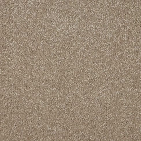 Cambrian Stone