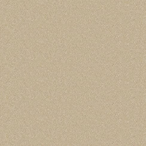 Sand Dune