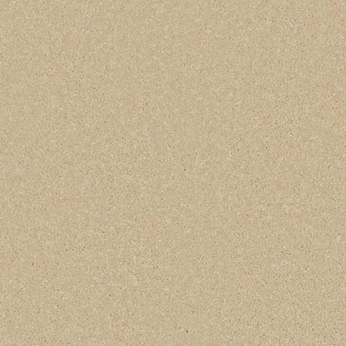 Palomino Gold