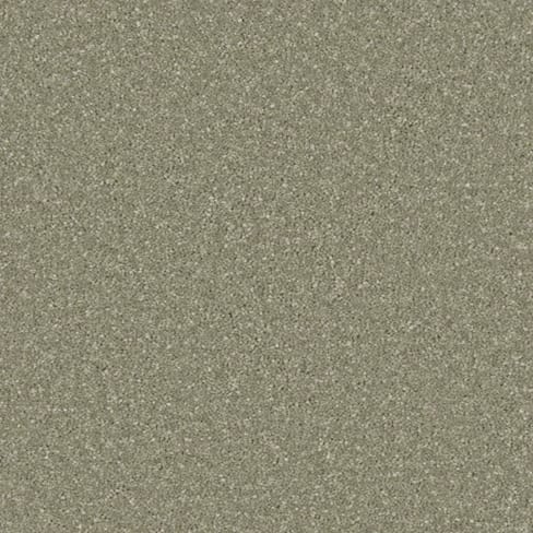Tuscan Olive