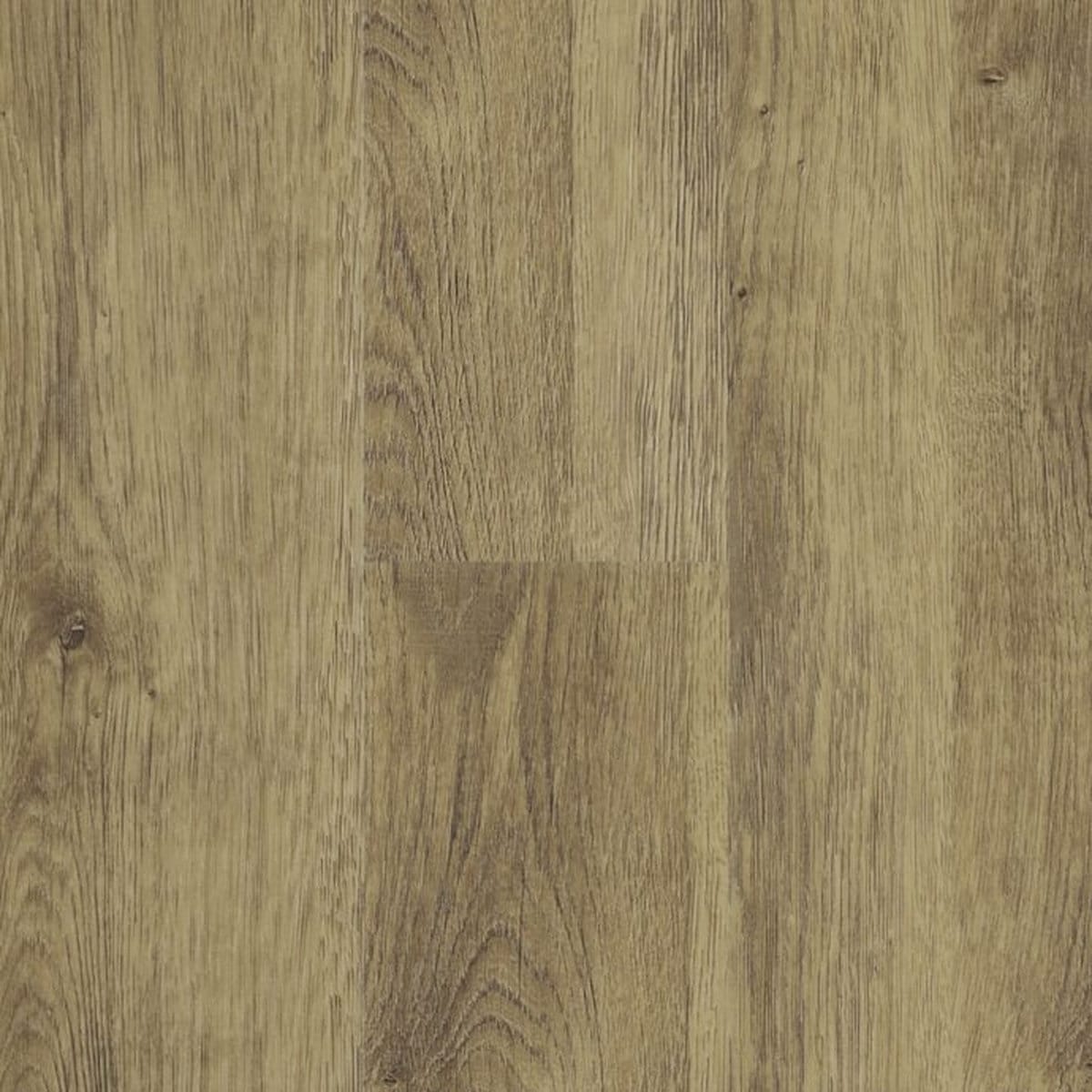 Carpenters Oak Plank Nt43