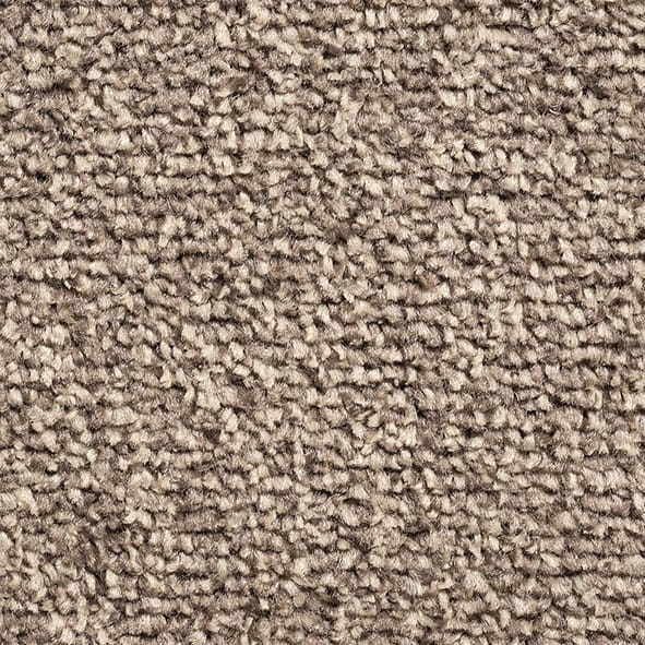 Alicante Saxony Ab 91 Con024014