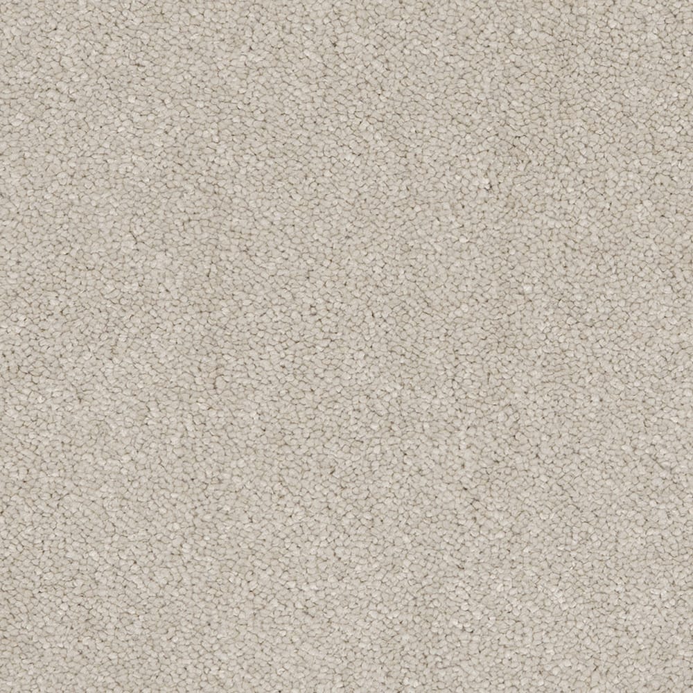 Aries Invictus 09 Cotton