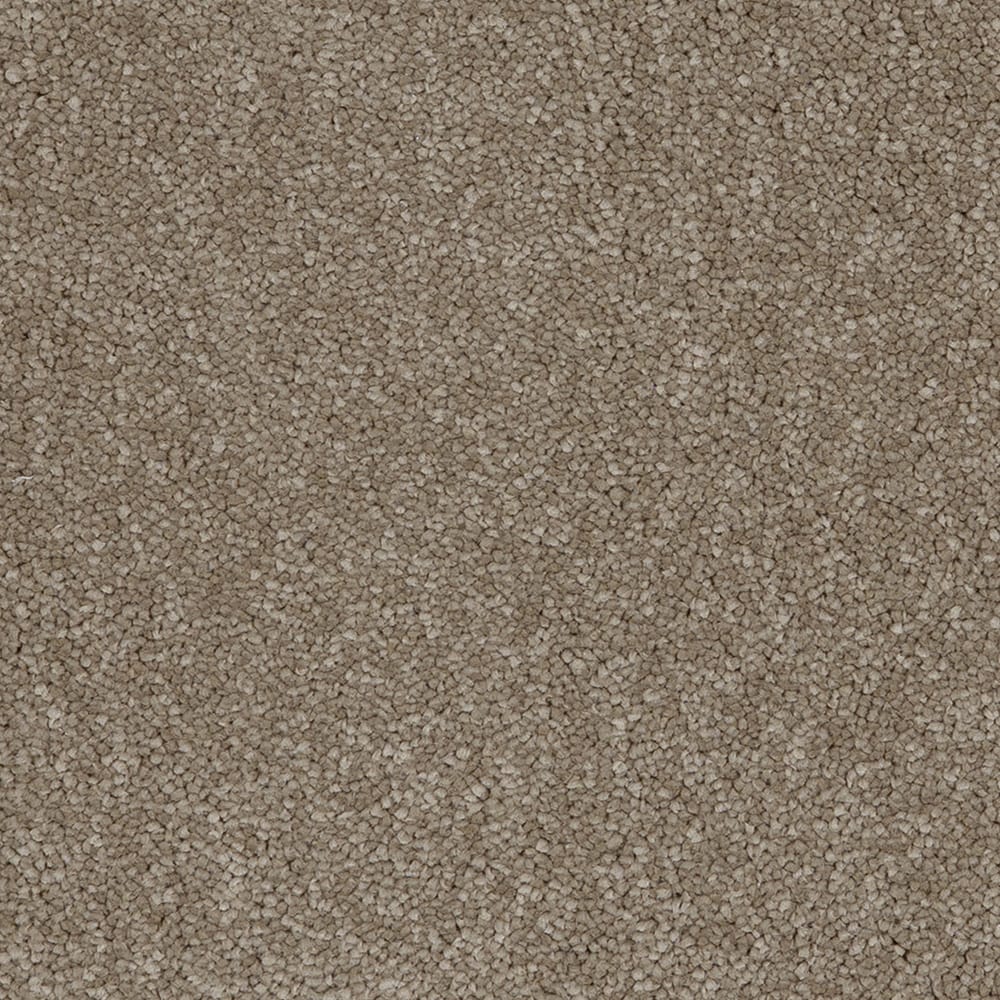 Aries Invictus 39 Fudge