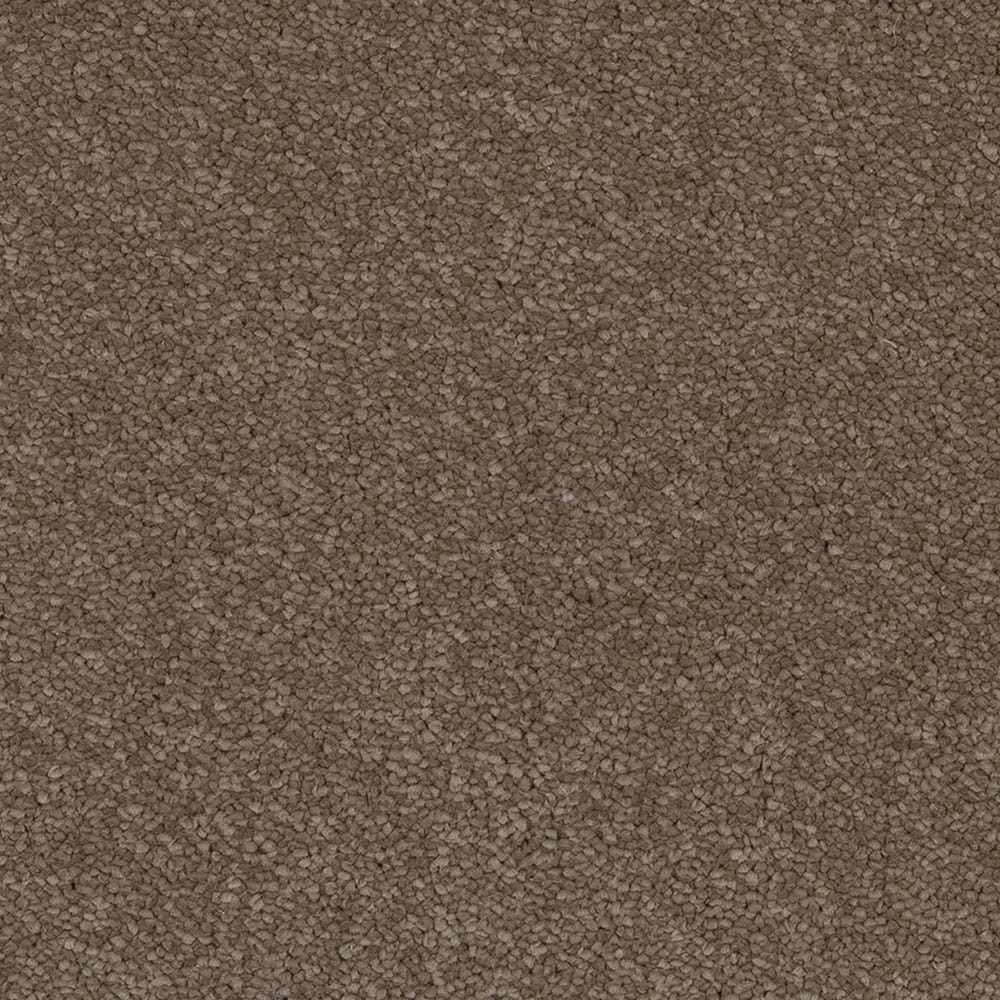 Aries Invictus 40 Moleskin