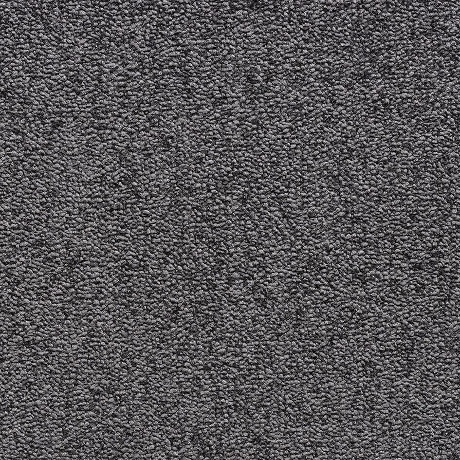 Bellevue Fusion 479 Carbon Con154008