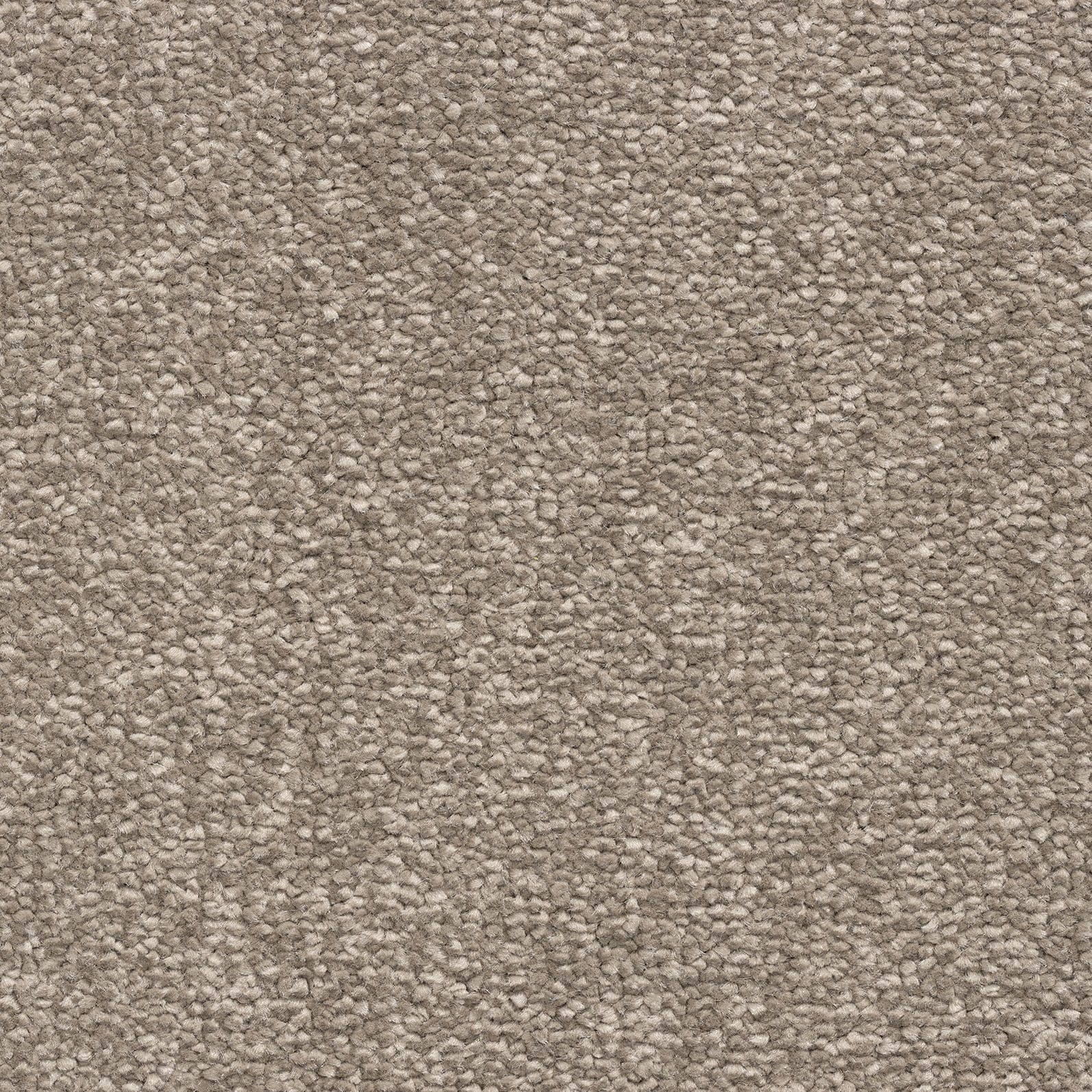 Caprice 90 Mocha Con181004