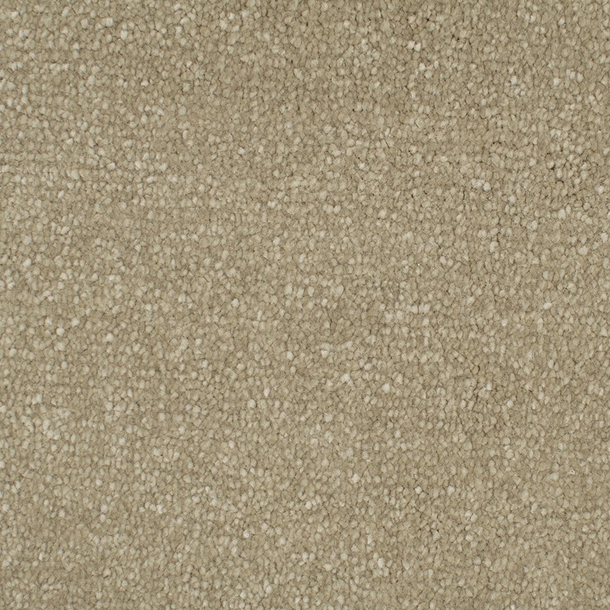 7008 Champagne