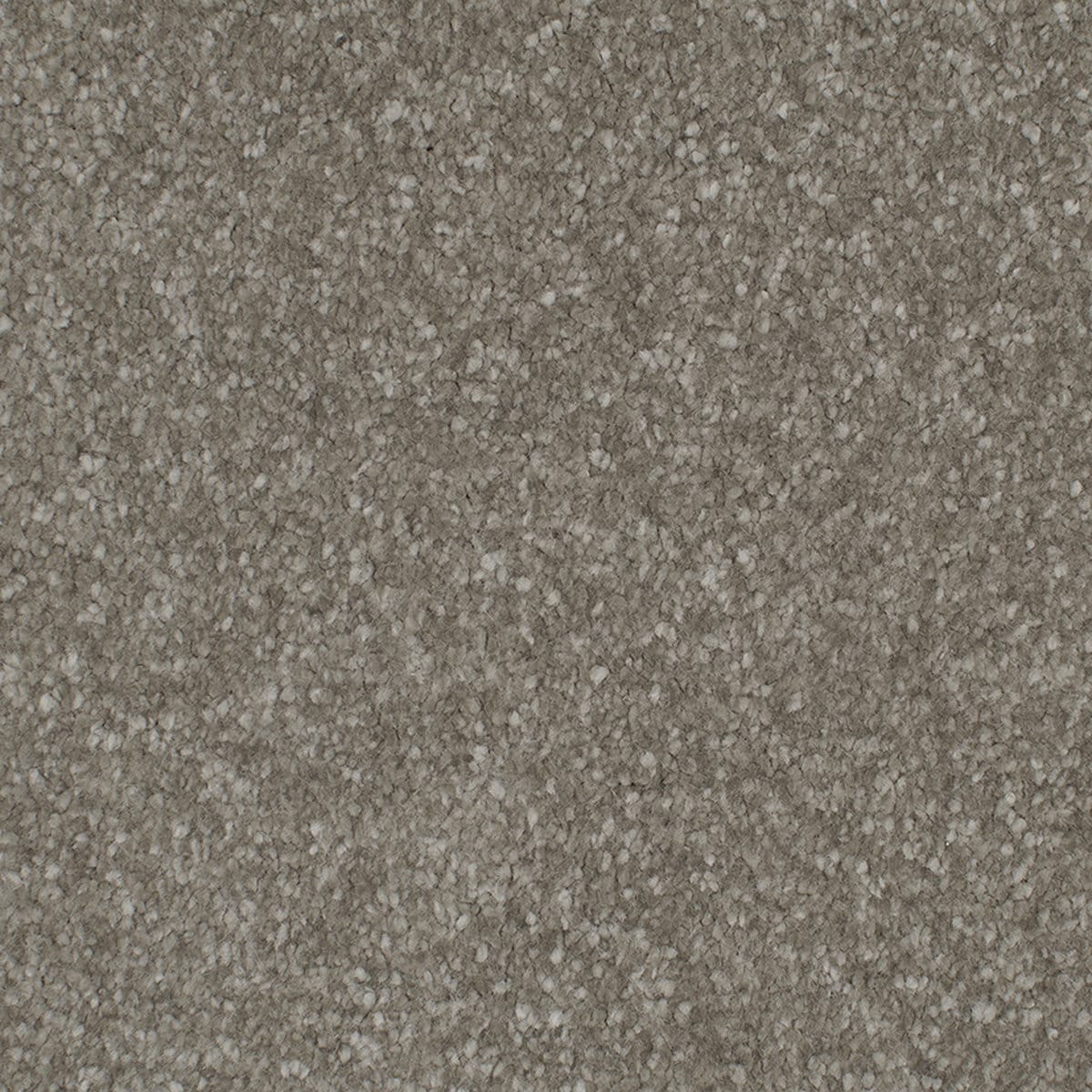 7009 Truffle