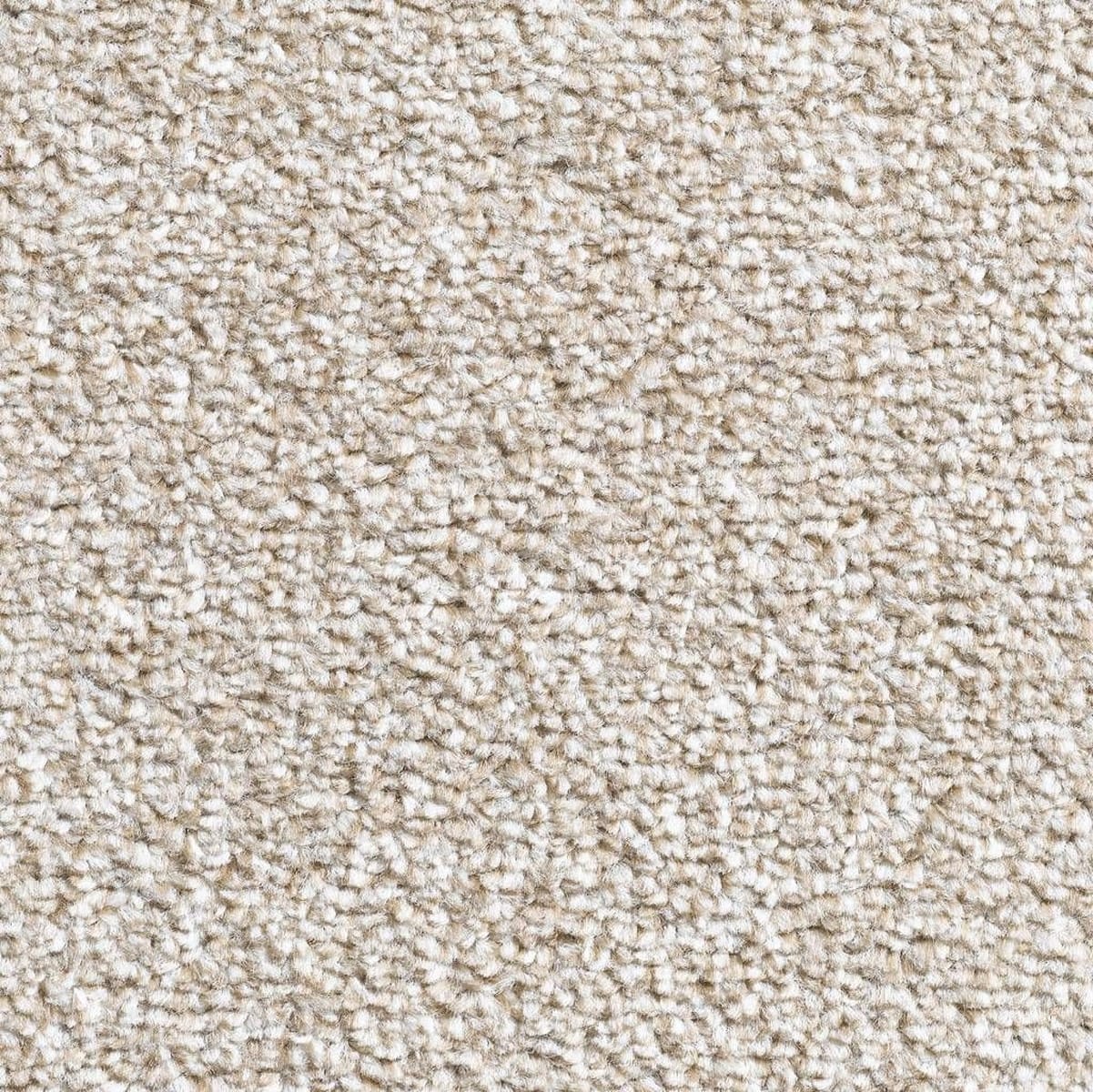 Beige Lazio Ab H71 Con023001