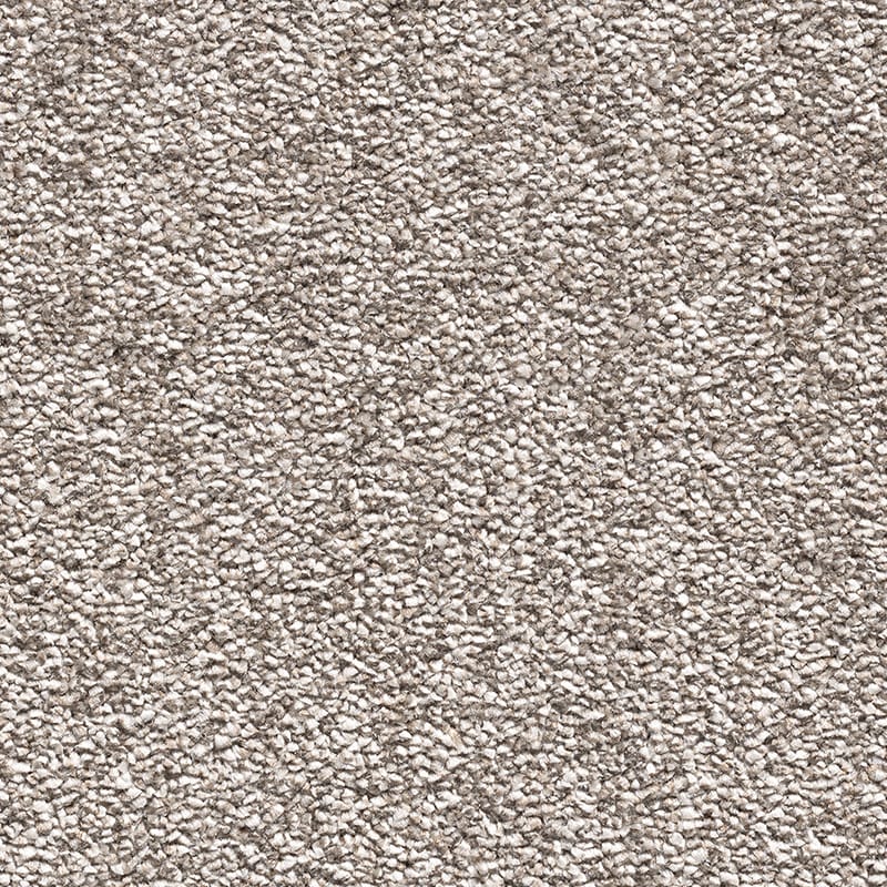 Paddington Fusion 92 Latte