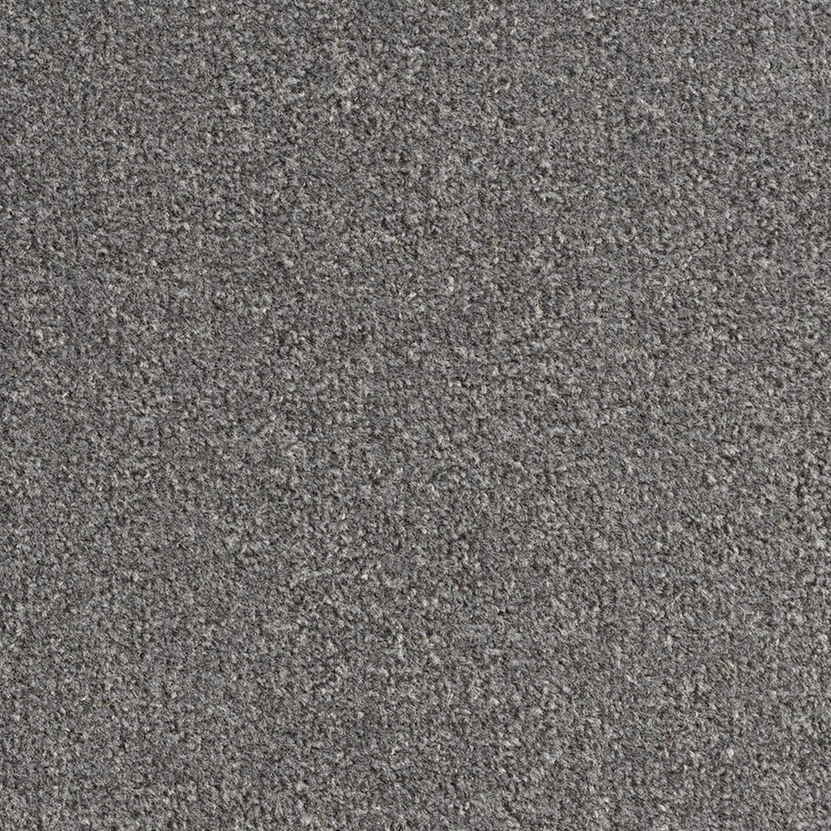 Revolution Sb 195 Taupe