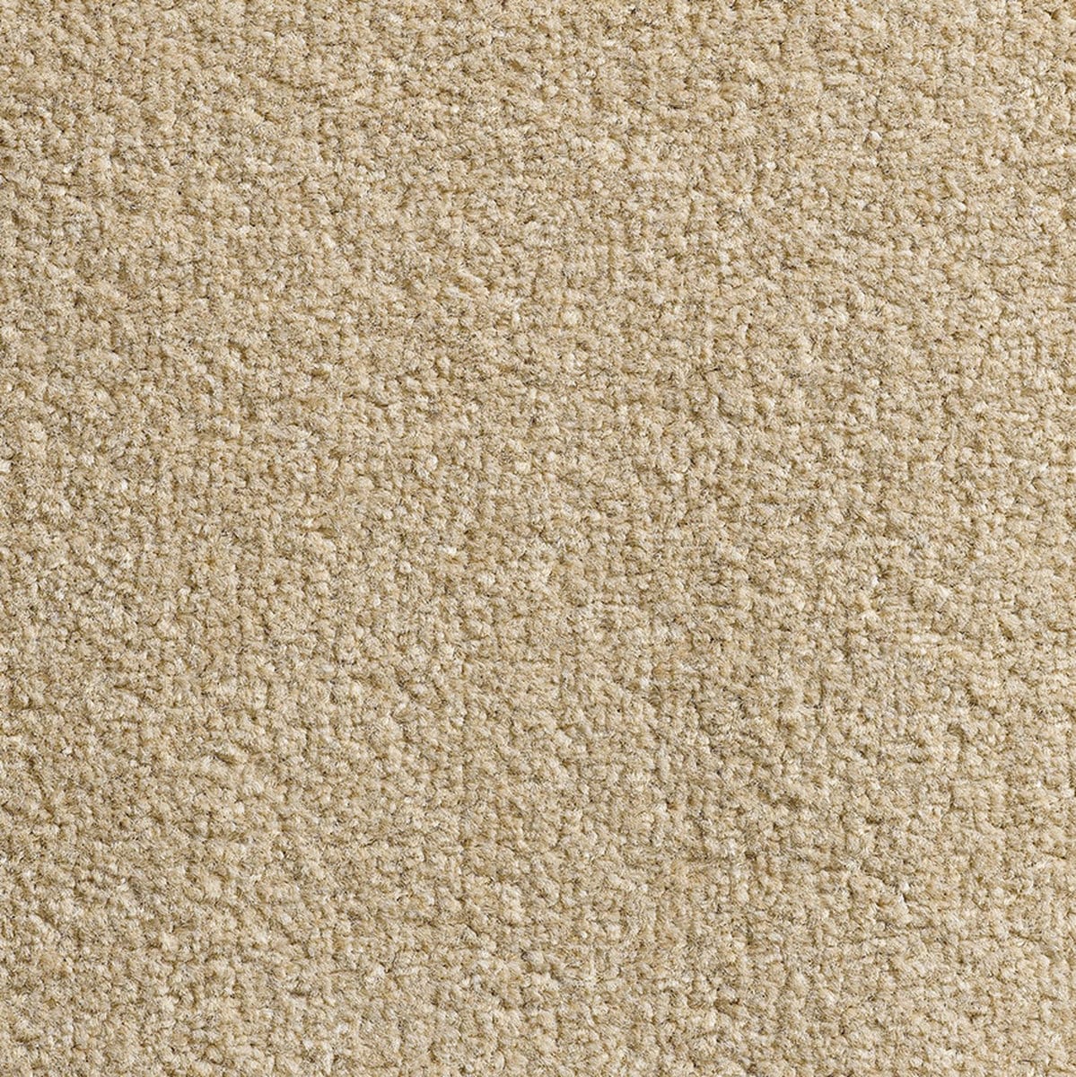 Revolution Sb 70 Warm Beige