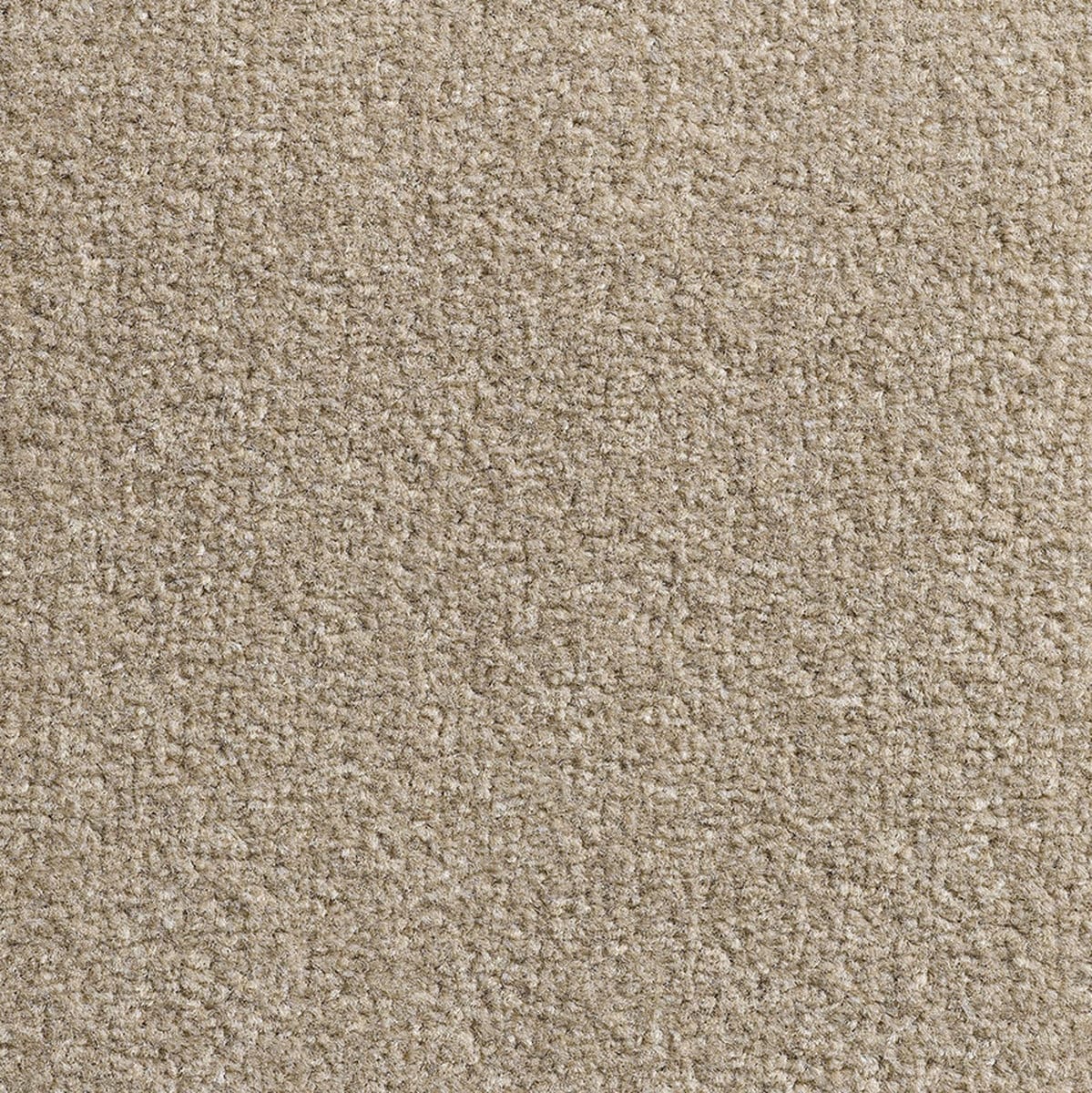 Revolution Sb 75 Raffia