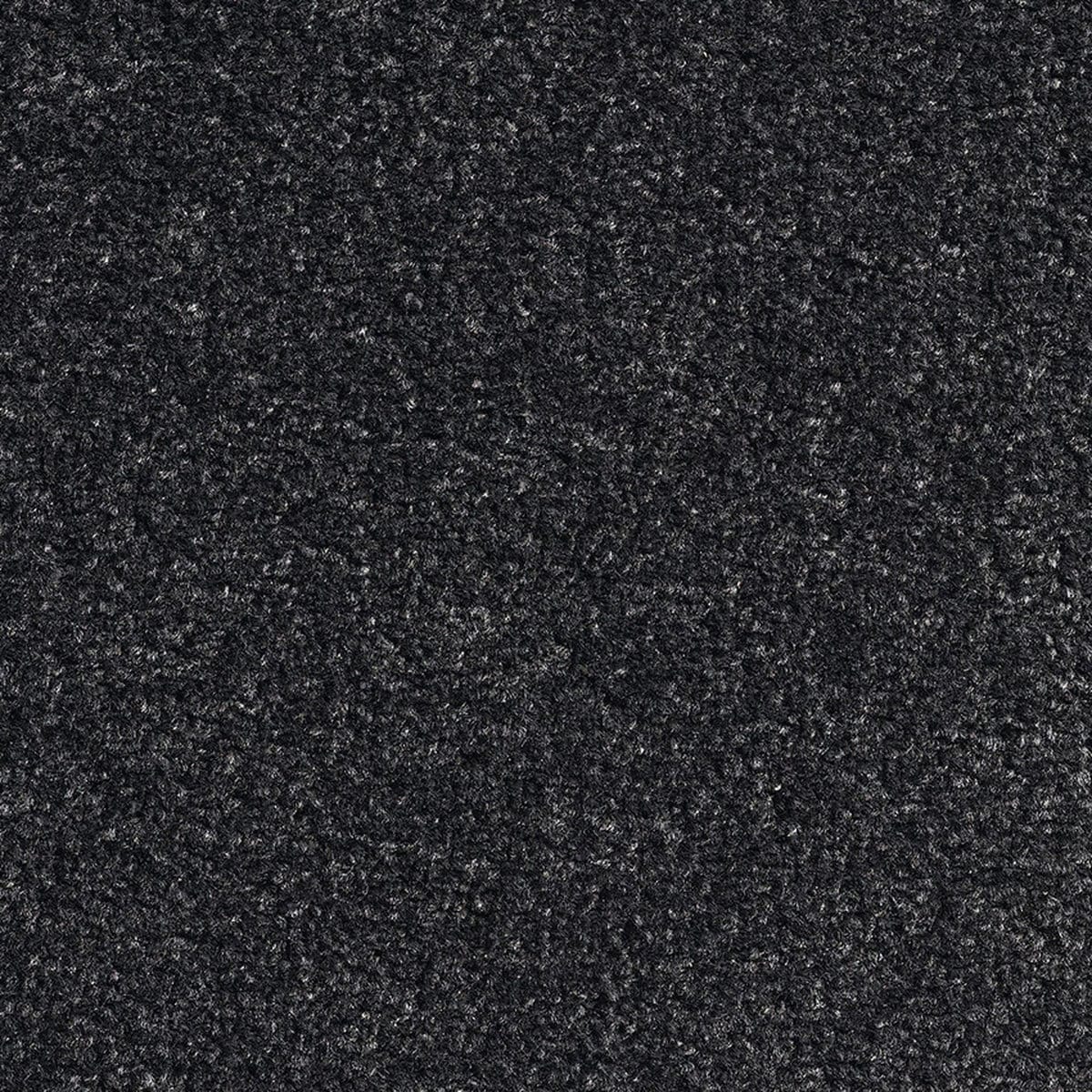 Revolution Sb 78 Platinum