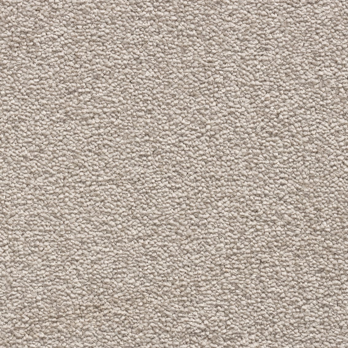 Saffron Sb 70 Sand Con149001