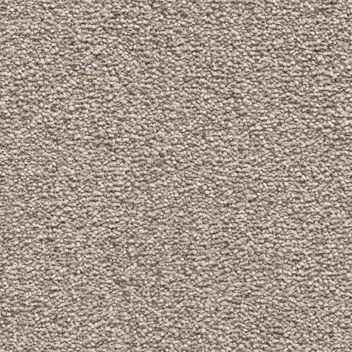 Saffron Sb 72 Malt Con149003