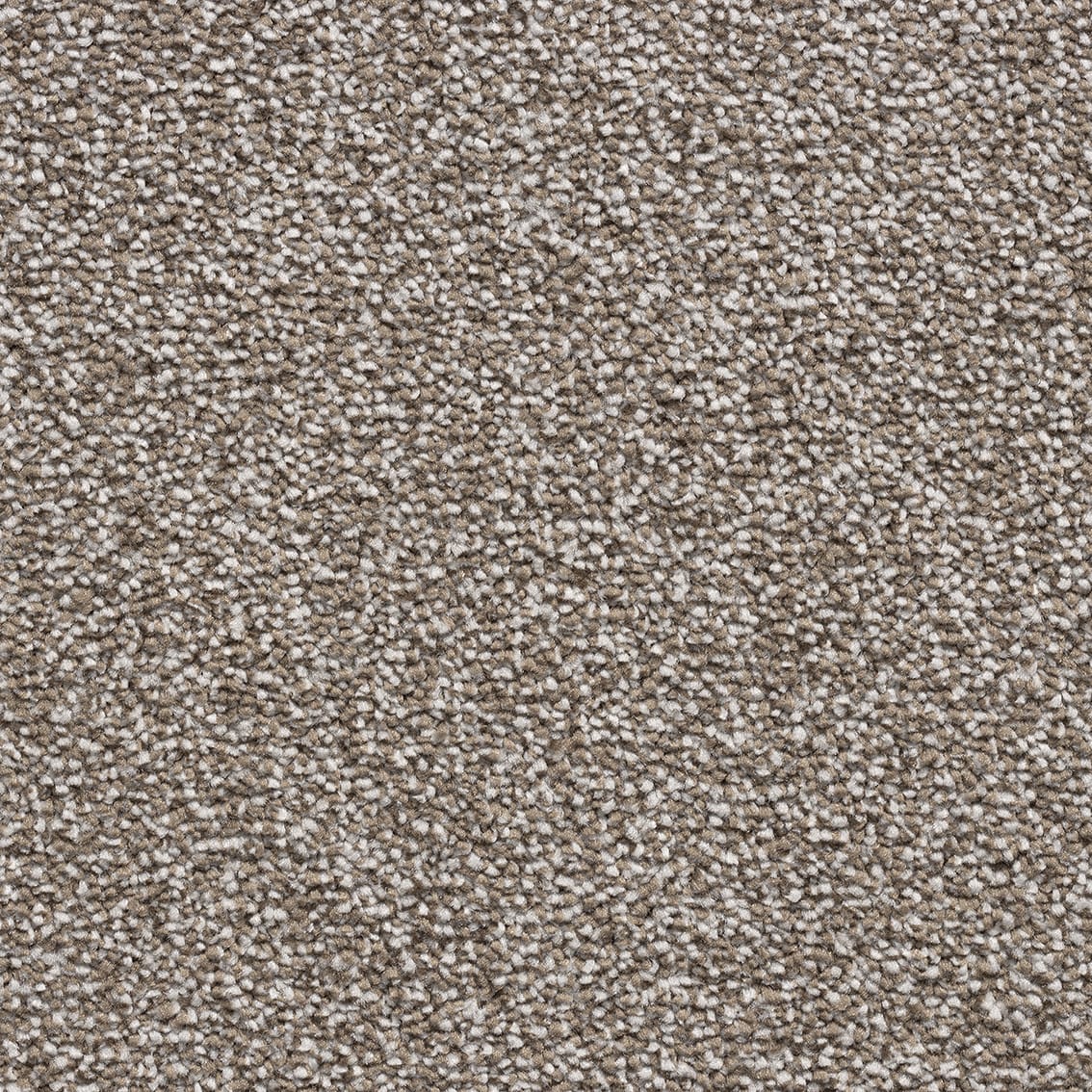 Saffron Sb 92 Latte Con149004