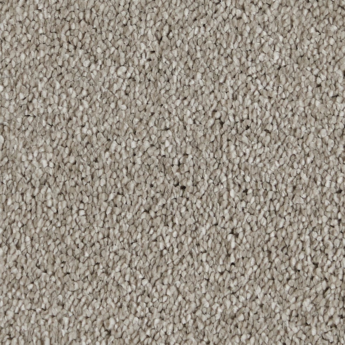 Sublime 720 Greige Bal081007