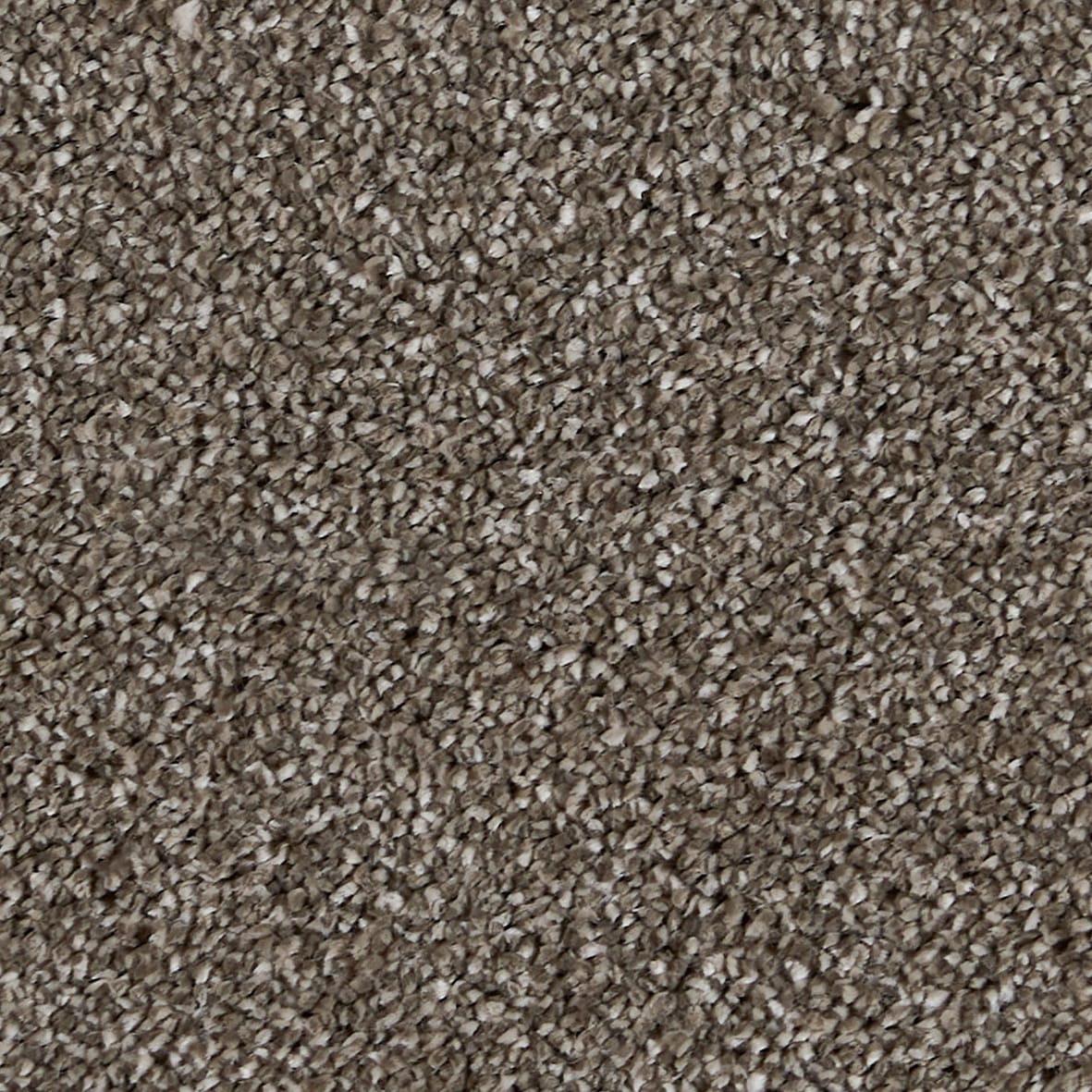 Sublime 850 Mudslide Bal081009