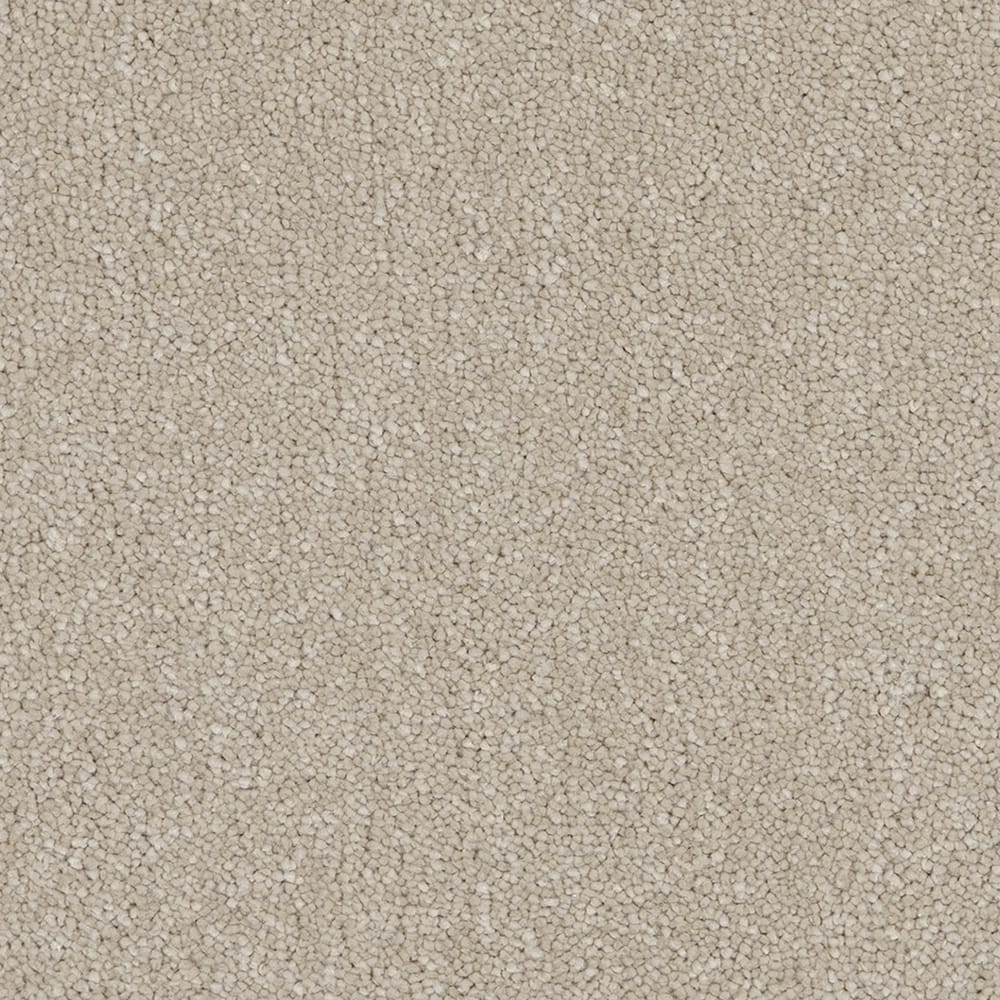 Taurus Invictus 33 Hammock