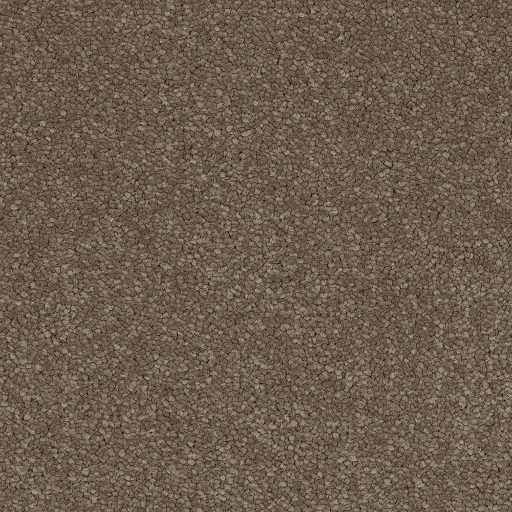 Taurus Invictus 40 Moleskin