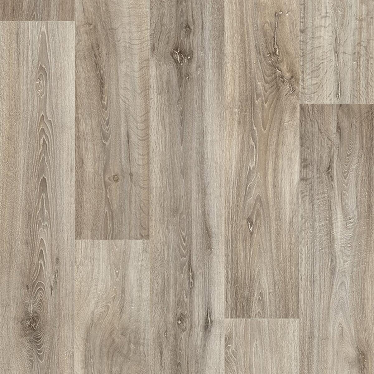 Elm Oak