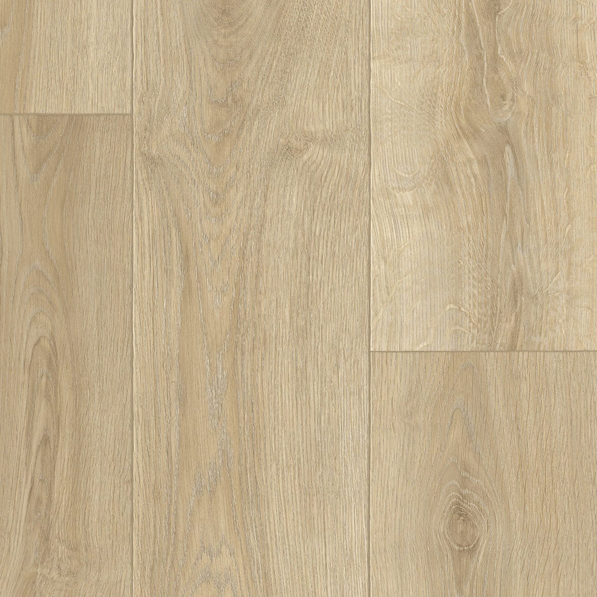 Cherbourg Oak 552
