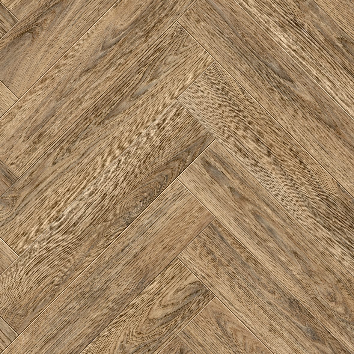V08