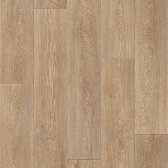 Zeus Light Elm
