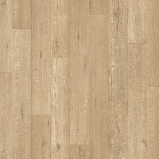 Zeus Summer Oak