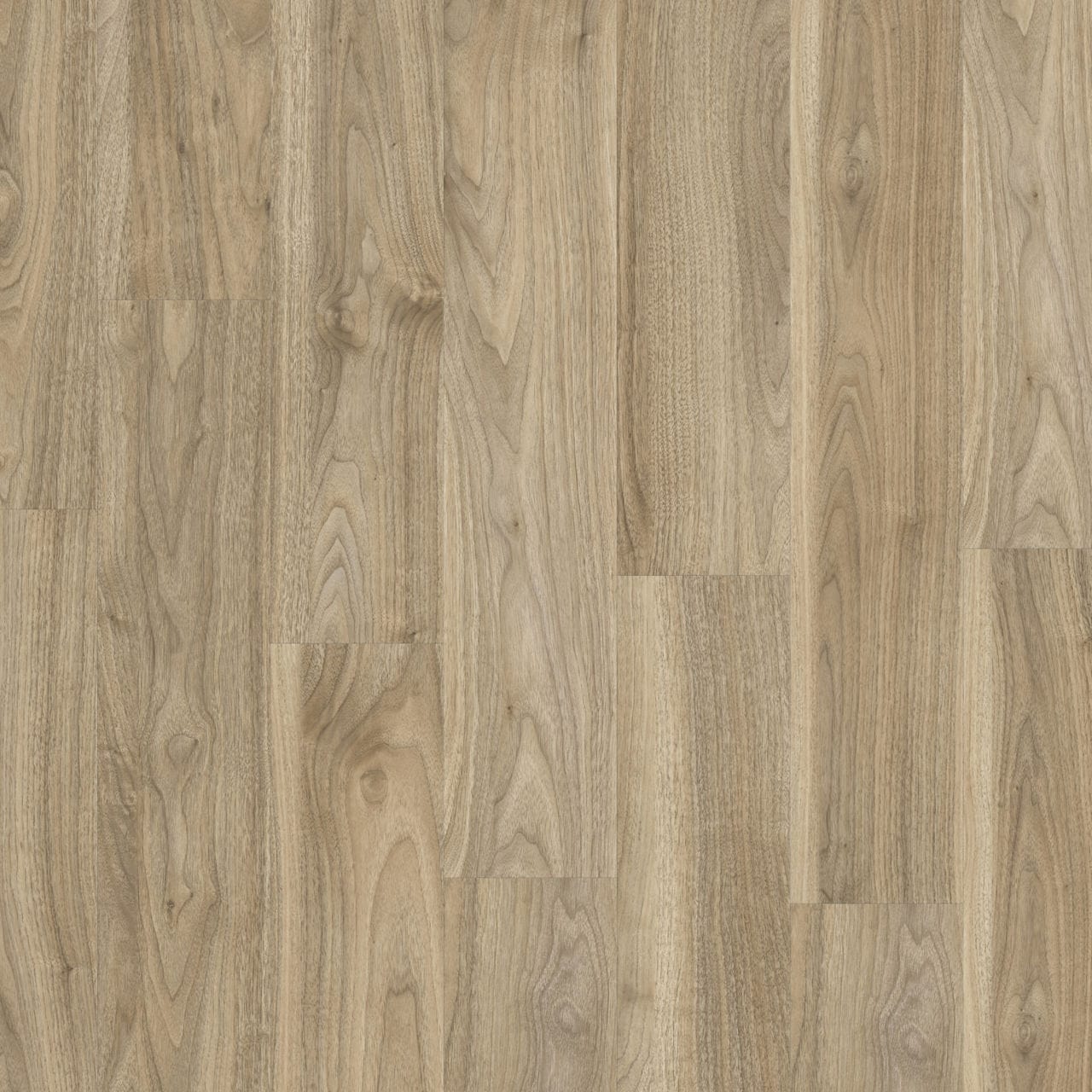 English Walnut 20226