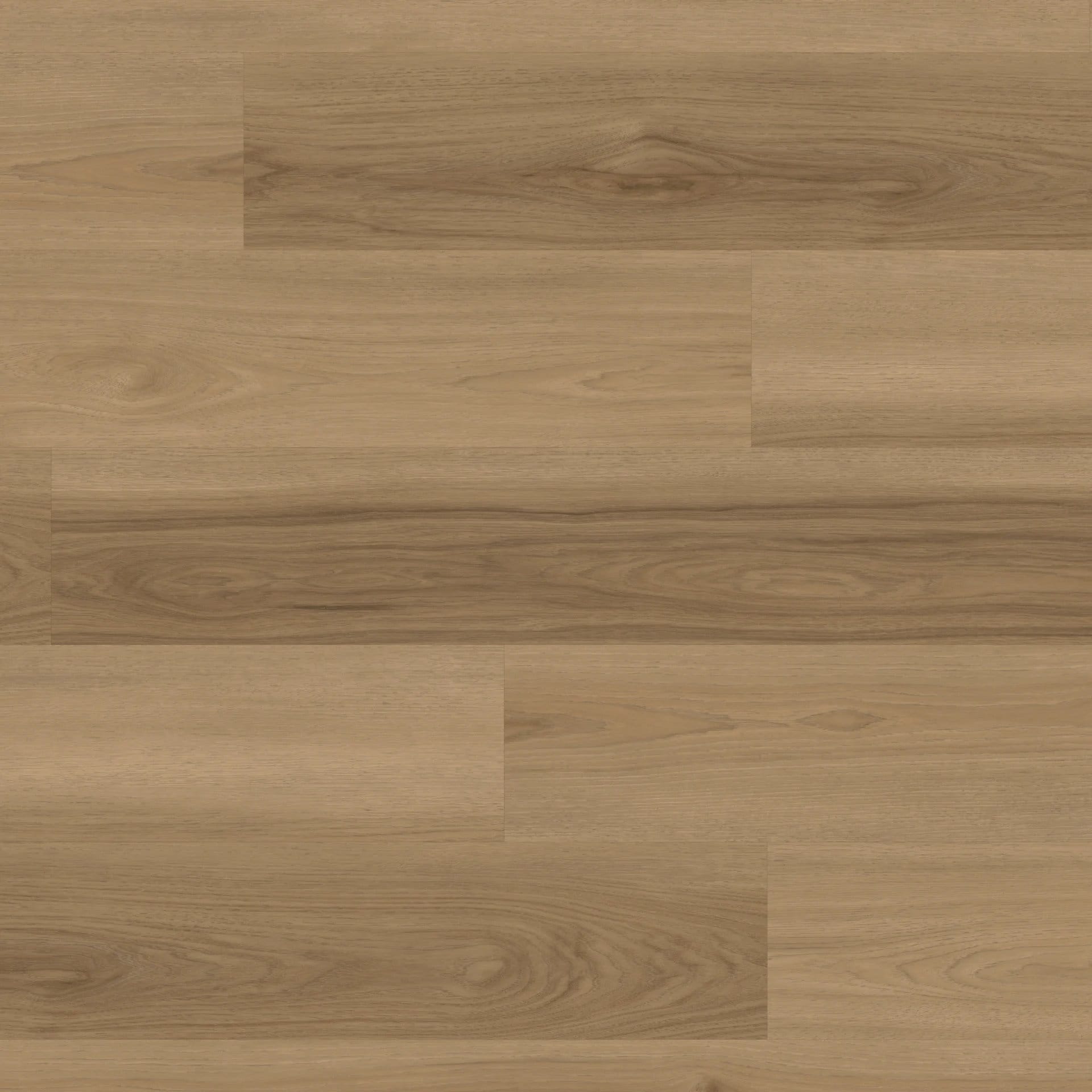 Belluno Ash Pvp408