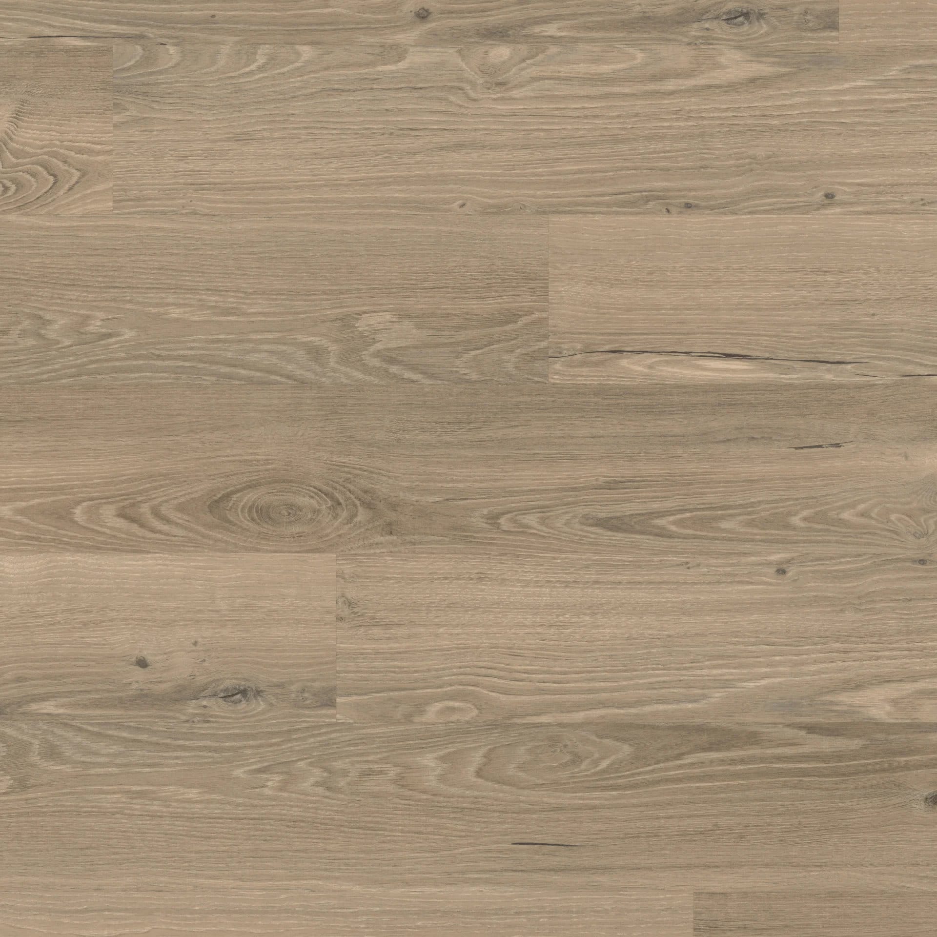 Ravenna Oak Pvp403