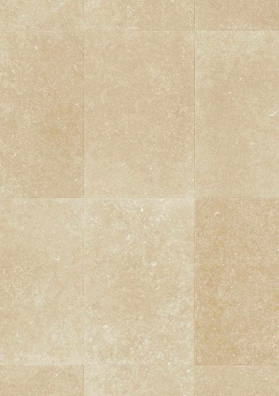 Limestone Mus5486